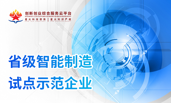 省級智能(néng)制(zhì)造試點示範企業(yè)