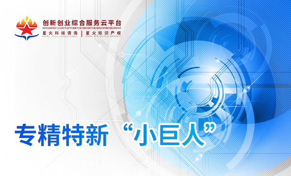 專精特新小(xiǎo)巨人(rén)