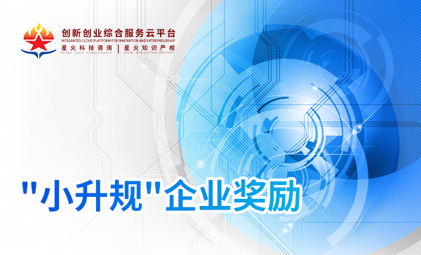 小(xiǎo)升規企業(yè)獎勵